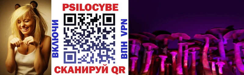 мориарти официальный сайт  Верхний Уфалей  Псилоцибиновые грибы Psilocybe 