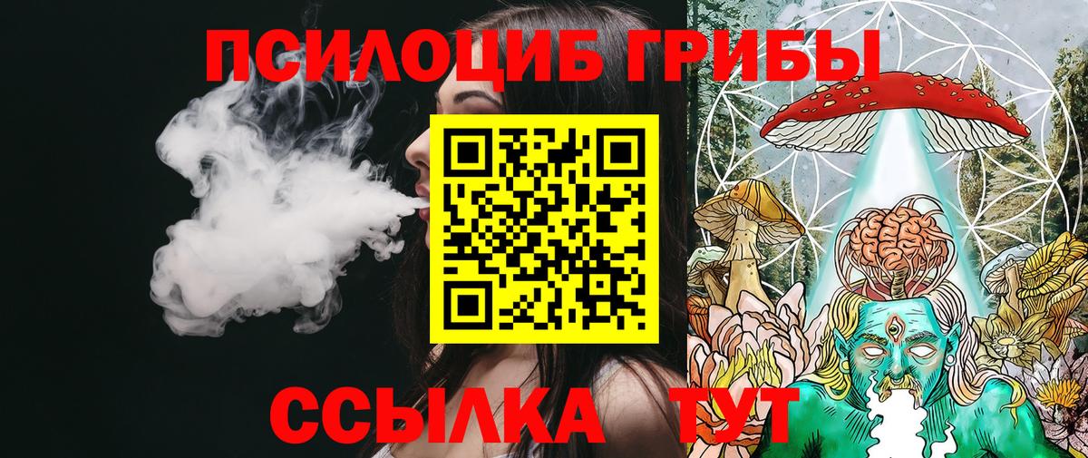 Псилоцибиновые грибы прущие грибы  Верхний Уфалей 