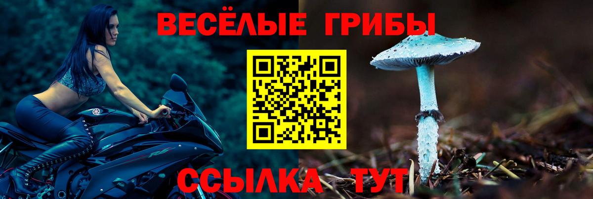 Верхний Уфалей  Галлюциногенные грибы GOLDEN TEACHER  Вход с VPN 
